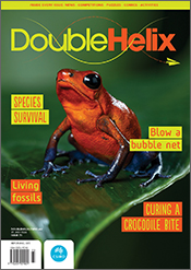 Cover of 'Double Helix' magazine issue 73 showing an orange and blue frog